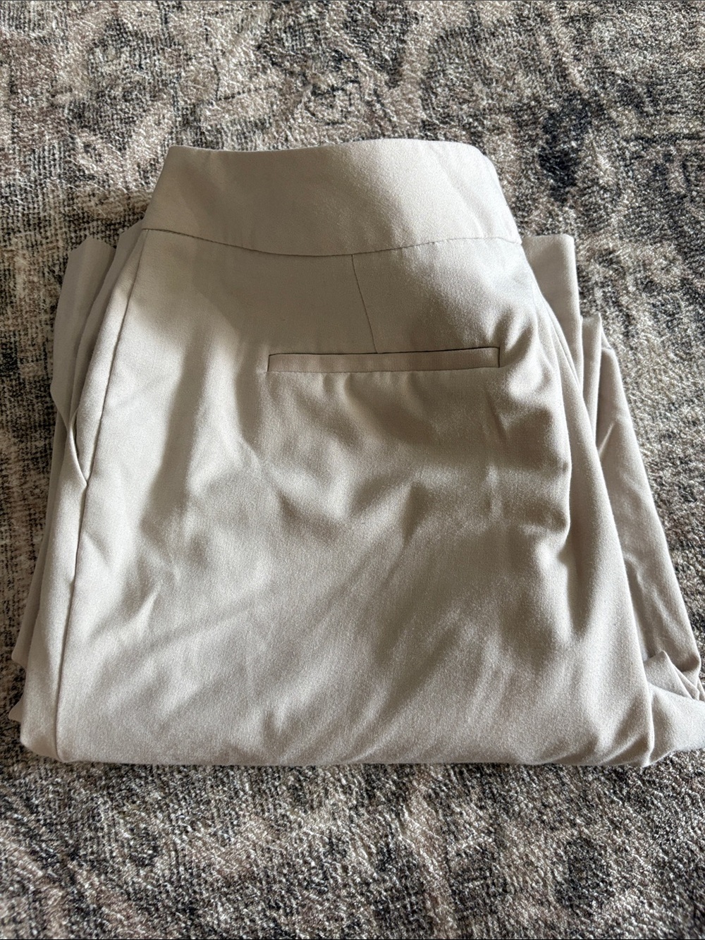 Classic Dress Pants in Light Beige